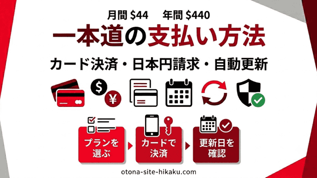 一本道のアダルトビデオサイトの支払い方法を解説する、清潔で整理された日本語のインフォグラフィック